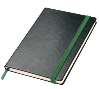 Ежедневник Vegas BtoBook недатированный, зеленый (без упаковки, без стикера) фото 