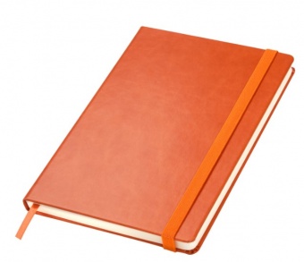Ежедневник Portland BtoBook недатированный, оранжевый (без упаковки, без стикера) фото 