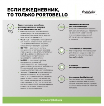 Ежедневник Arctic недатированный, белый/серый фото 