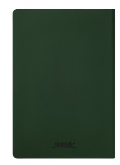 Ежедневник Spark недатированный, зеленый (без упаковки, без стикера) фото 