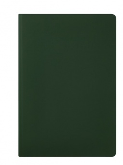 Ежедневник Spark недатированный, зеленый (без упаковки, без стикера) фото 