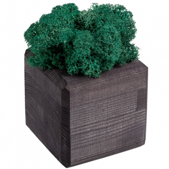 Декоративная композиция GreenBox Black Cube, бирюзовый фото 