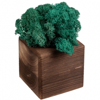 Декоративная композиция GreenBox Fire Cube, бирюзовый фото 