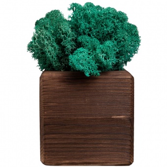 Декоративная композиция GreenBox Fire Cube, бирюзовый фото 