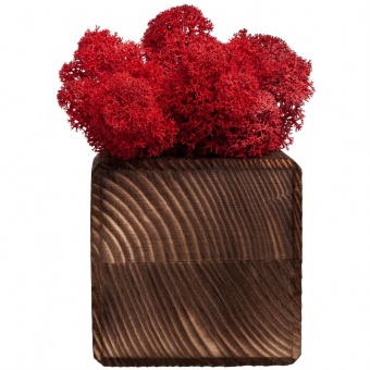 Декоративная композиция GreenBox Fire Cube, красный фото 