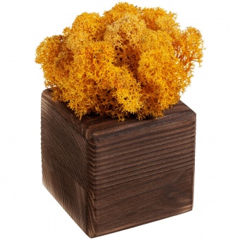 Декоративная композиция GreenBox Fire Cube, желтый фото 
