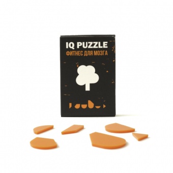 Головоломка IQ Puzzle, дерево фото 