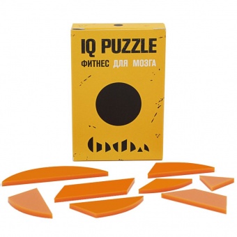 Головоломка IQ Puzzle Figures, круг фото 