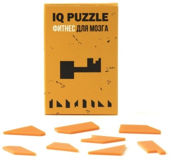 Головоломка IQ Puzzle, ключ фото 