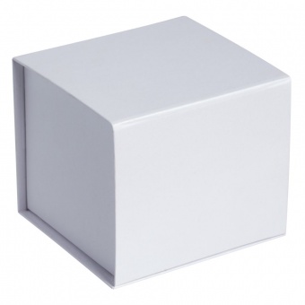 Коробка Alian, белая фото 