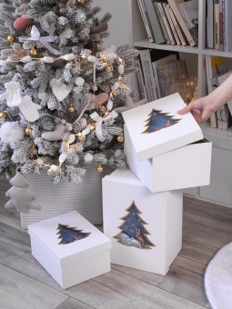 Коробка Christmas Tree, M фото 