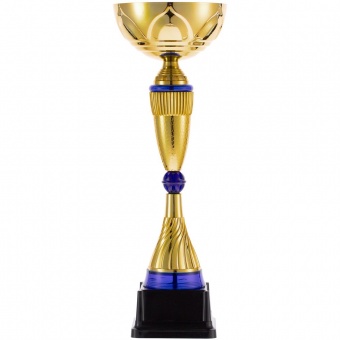 Кубок Awardee, большой, синий фото 