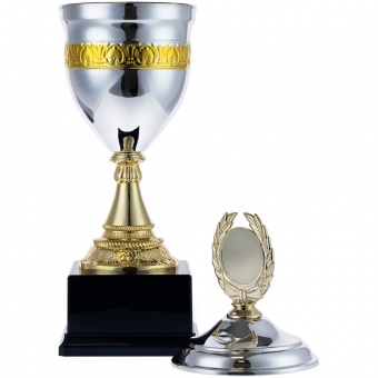 Кубок EnterPrize, серебристый фото 