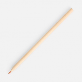 Набор цветных карандашей Pencilvania Maxi фото 