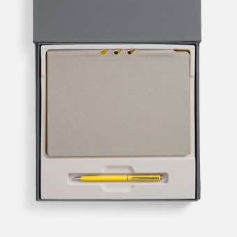 Набор Flexpen Grey, желтый фото 