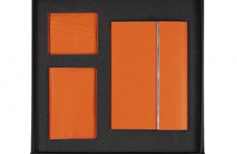 Набор Petrus Flap, оранжевый фото 