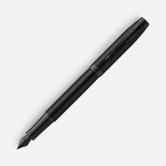Ручка перьевая Parker IM Achromatic Black, черная фото 