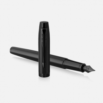 Ручка перьевая Parker IM Achromatic Black, черная фото 