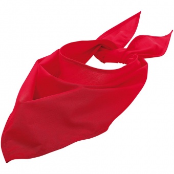 Шейный платок Bandana, красный фото 