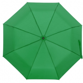 Зонт складной Monsoon, зеленый фото 