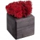Декоративная композиция GreenBox Black Cube, красный фото 3