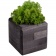 Декоративная композиция GreenBox Black Cube, зеленый фото 1