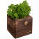 Декоративная композиция GreenBox Fire Cube, зеленый фото 1