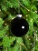 Елочный шар Finery Gloss, 8 см, глянцевый черный фото 4