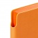 Ежедневник Flexpen Color, датированный, оранжевый фото 16