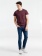 Футболка мужская Regent Fit 150, бордовый меланж фото 11