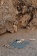 Плед для пикника VINGA Alba из rPET GRS, 110х110 см фото 5