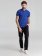 Рубашка поло мужская Virma Premium, ярко-синяя (royal) фото 10