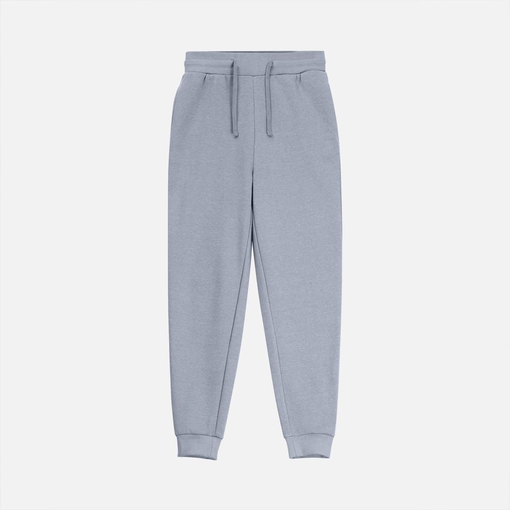 Джоггеры J2, серые