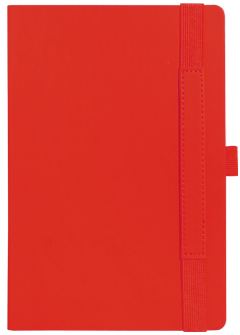 Ежедневник недатированный, Portobello Trend, Alpha , жесткая обложка , 145х210, 256 стр, красный/серый фото 