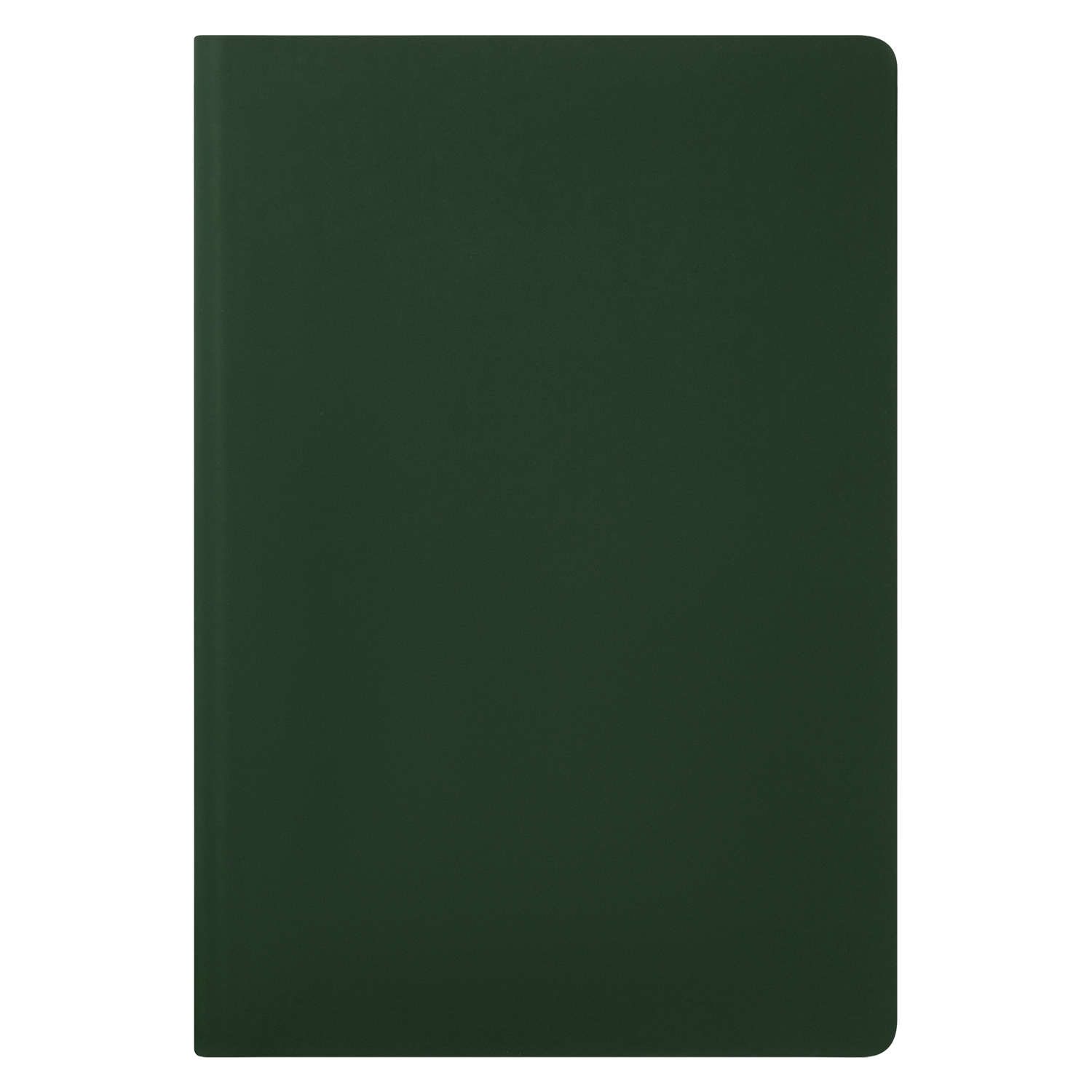 Ежедневник Спарк (Spark) недатированный, зеленый (с упаковкой, со стикерами)