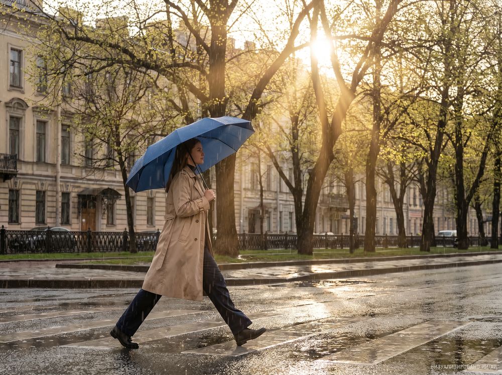 Зонт складной Regenfall, темно-синий