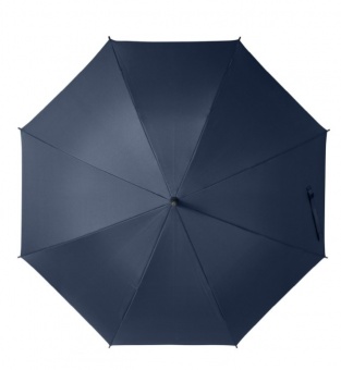 Зонт-трость, Bergwind, синий фото 