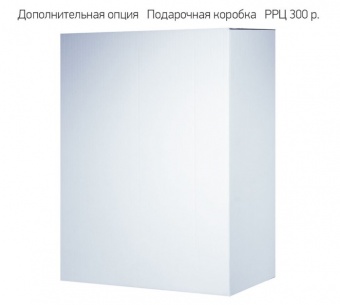 Сумка для ноутбука Modus, черный фото 