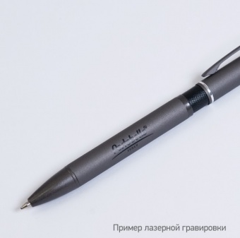 Шариковая ручка IP Chameleon, черная фото 