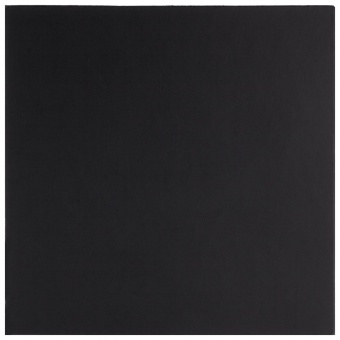 Костер Satiness, квадратный, черный фото 1