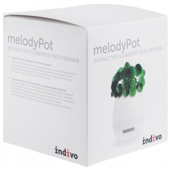 Беспроводная колонка melodyPot, белая фото 