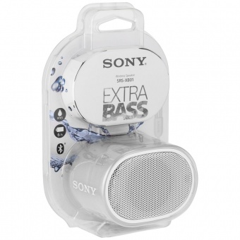 Беспроводная колонка Sony SRS-01, светло-серая фото 