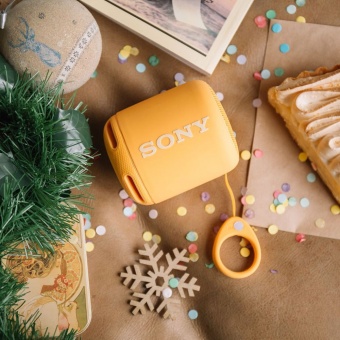 Беспроводная колонка Sony SRS-10, синяя фото 