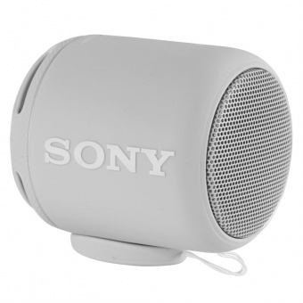Беспроводная колонка Sony SRS-10, светло-серая фото 