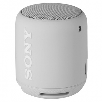 Беспроводная колонка Sony SRS-10, светло-серая фото 