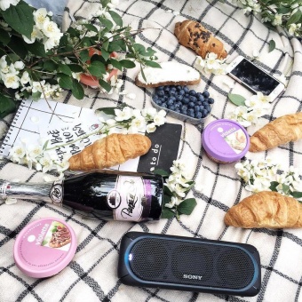 Беспроводная колонка Sony SRS-30, светло-серая фото 
