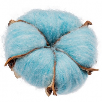 Цветок хлопка Cotton, голубой фото 