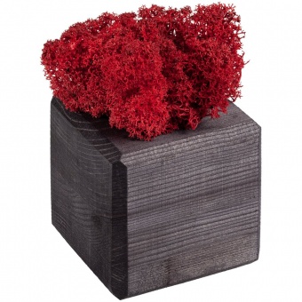 Декоративная композиция GreenBox Black Cube, красный фото 