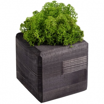 Декоративная композиция GreenBox Black Cube, зеленый фото 