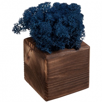 Декоративная композиция GreenBox Fire Cube, синий фото 